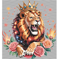 Constellation-XZ 193